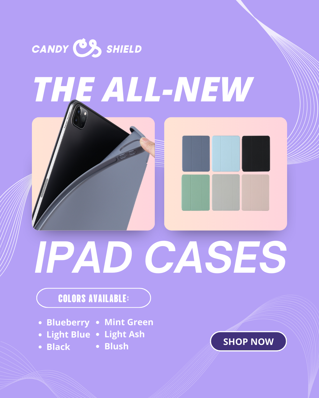 iPad Pro 11 Case w/ 3 folds